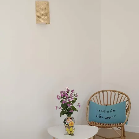 Maison Cosy, Renovee, Proche Et Centre, Jardin, Animaux Bienvenus - Fr-1-652-19 Vakantiehuis *