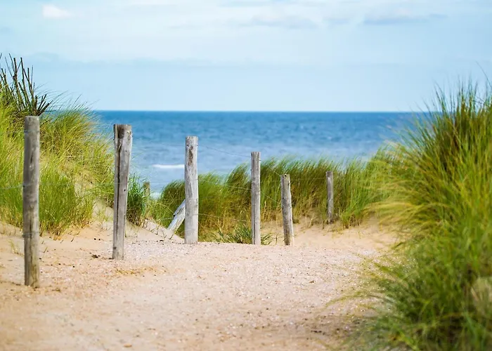 Maison Cosy, Renovee, Proche Et Centre, Jardin, Animaux Bienvenus - Fr-1-652-19 Casa de Férias